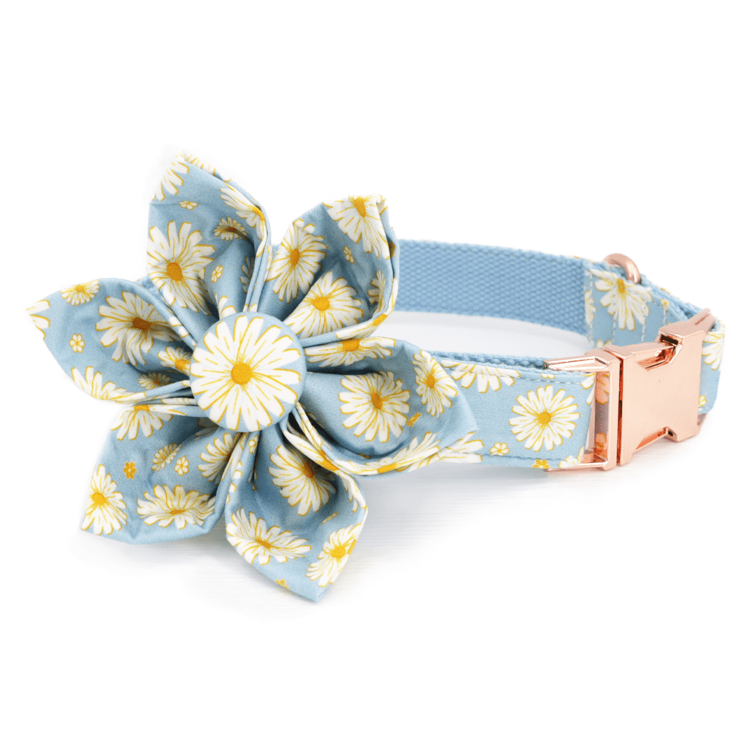 Blue Daisy Collar