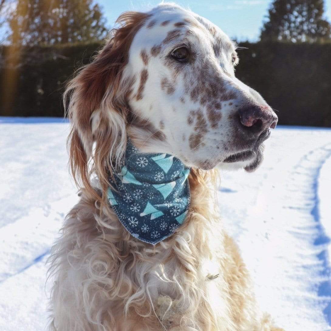 NEW Bandana - Montagnes - arthemisclothing - arthemis clothing - artemis clothing
