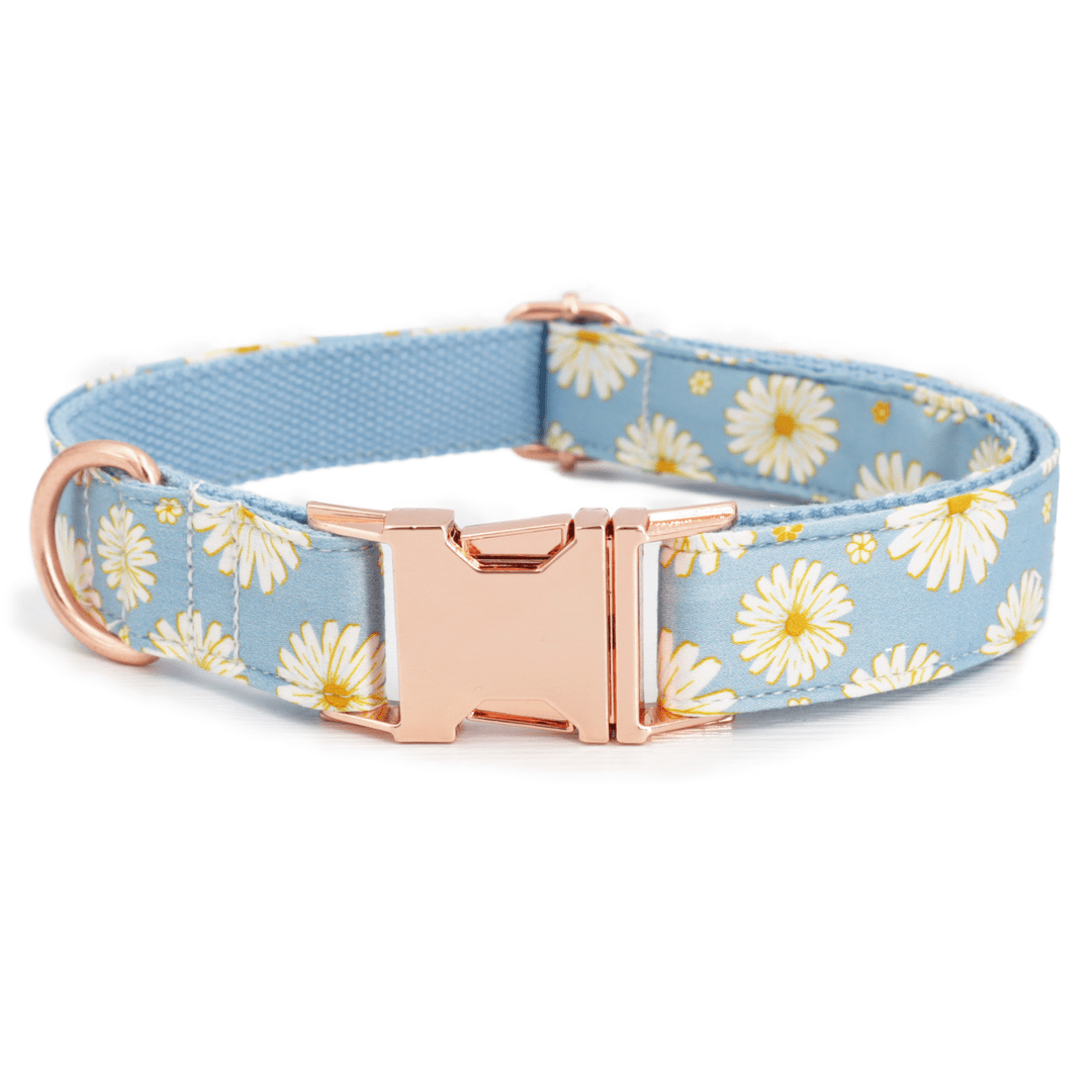 Blue Daisy Collar