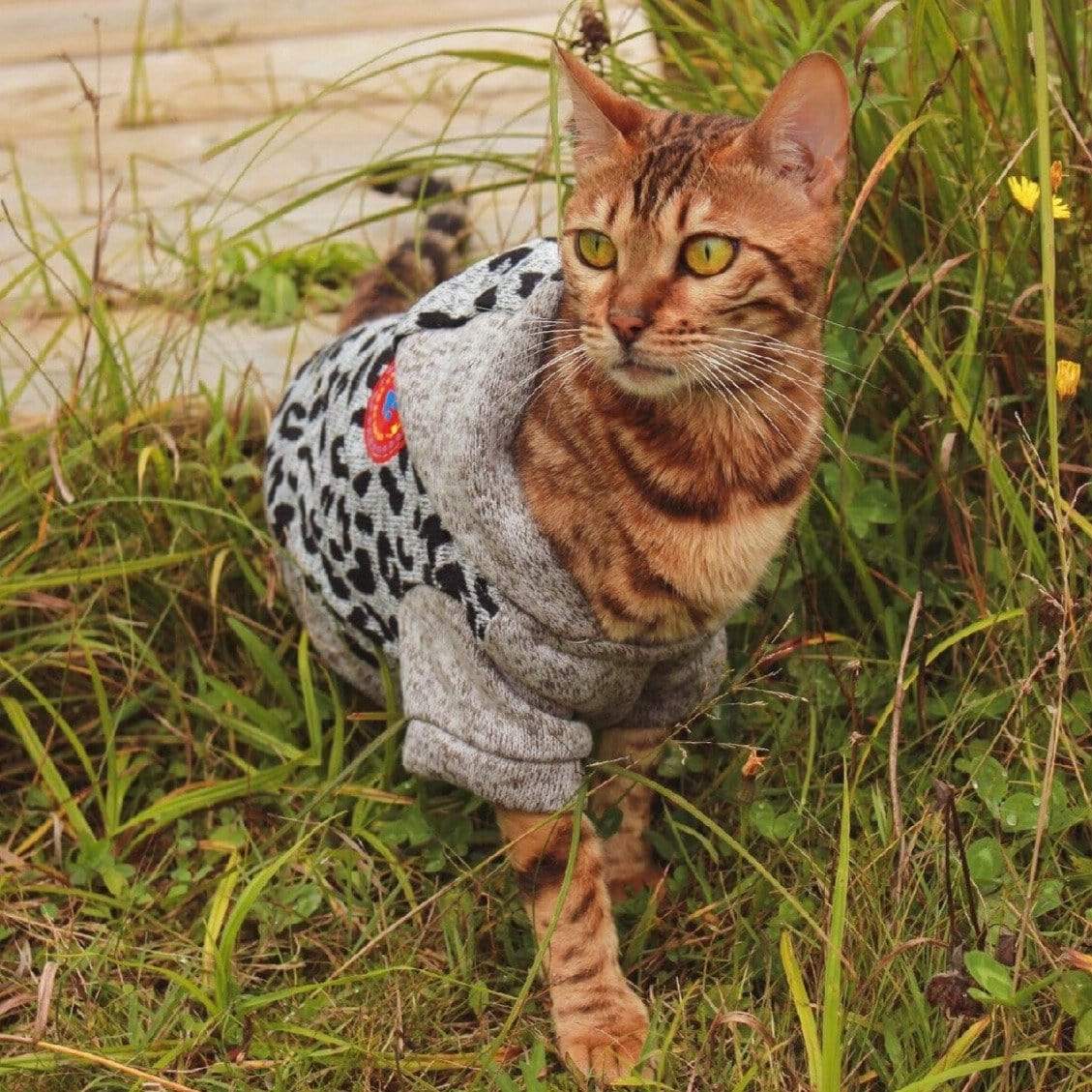 Coton ouaté - Petites Pattes (Chat) - arthemisclothing - arthemis clothing - artemis clothing