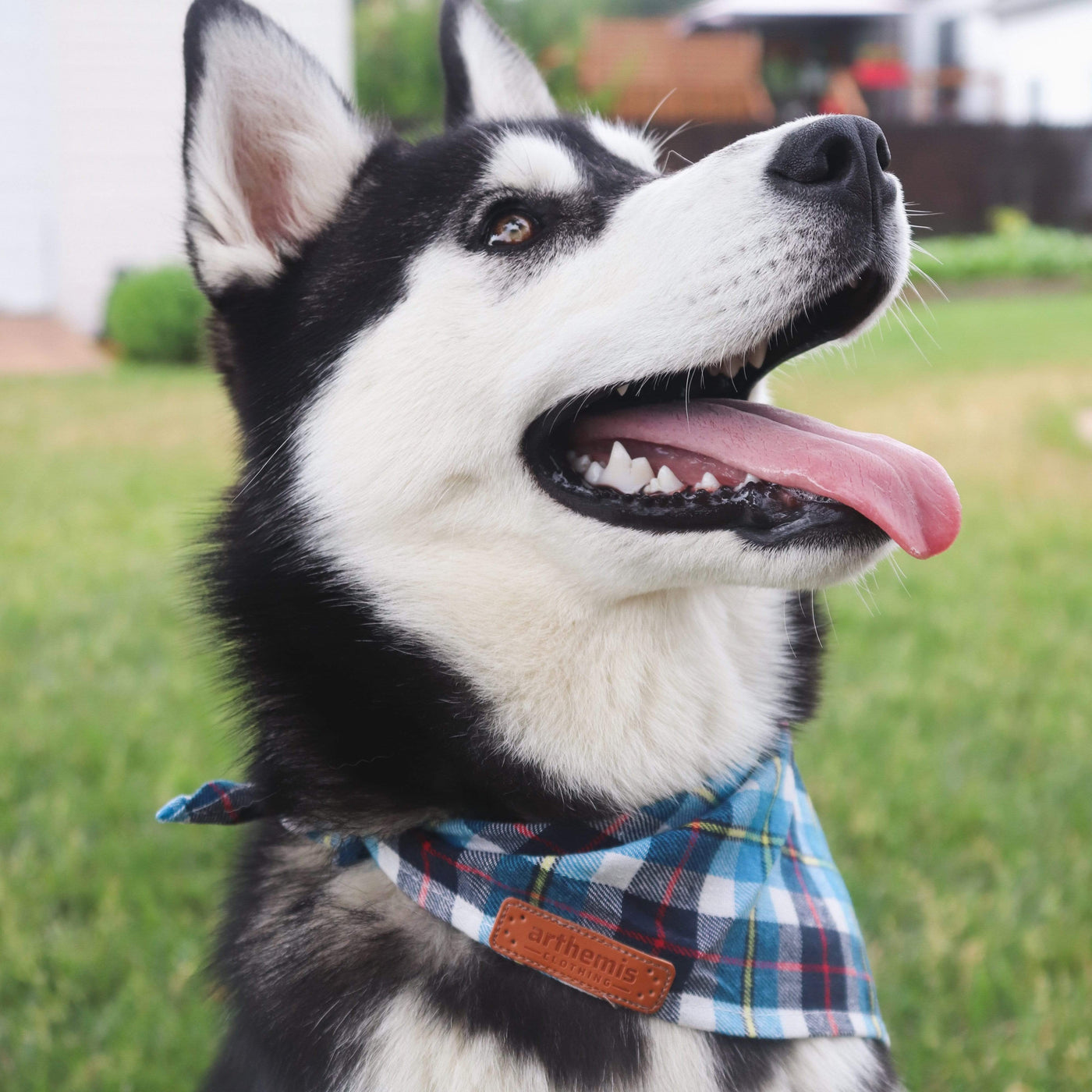 Bandana - Adventure