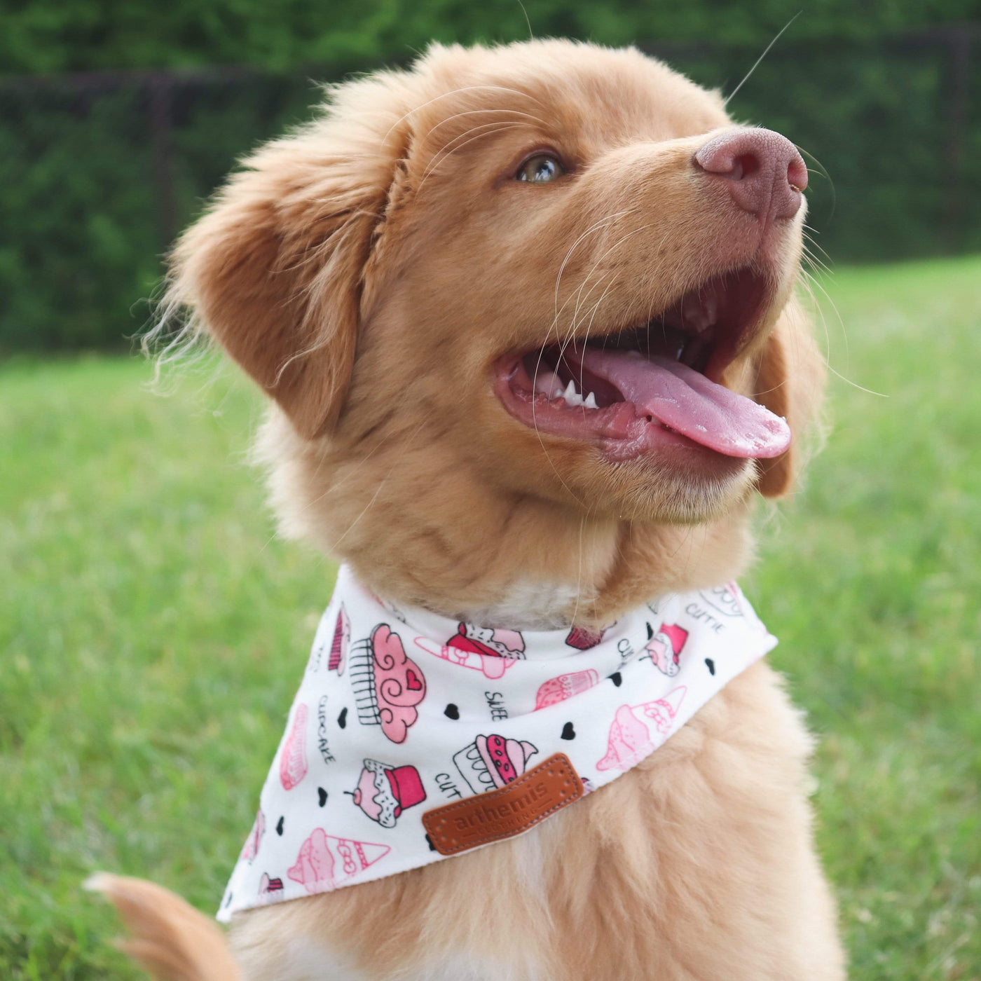 Bandana - Cupcake