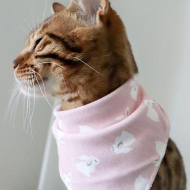 Bandana - Little Rabbit - arthemisclothing - arthemis clothing - artemis clothing