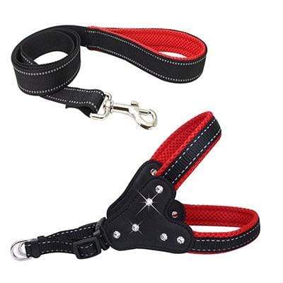 Harnais brillant pour chien (Laisse incluse) - arthemisclothing - arthemis clothing - artemis clothing