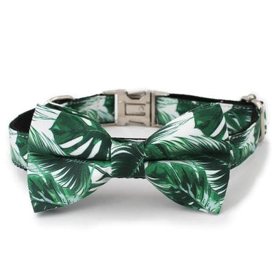 Tropical Bow Tie Collar