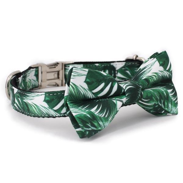 Tropical Bow Tie Collar