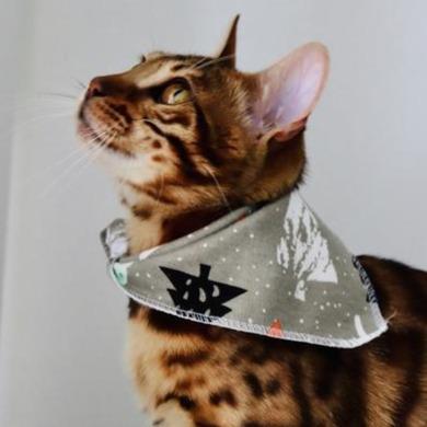 Bandana - Wild - arthemisclothing - arthemis clothing - artemis clothing